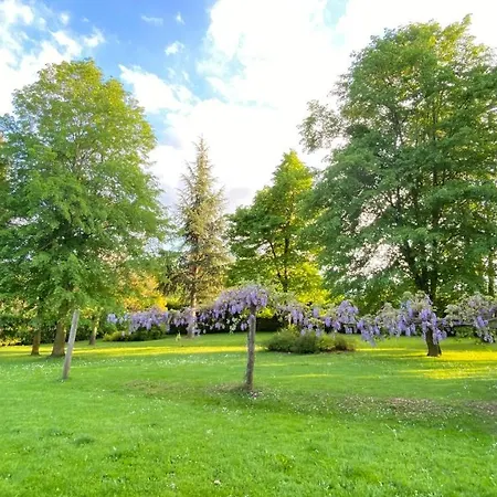 Giulia - Marguareis *