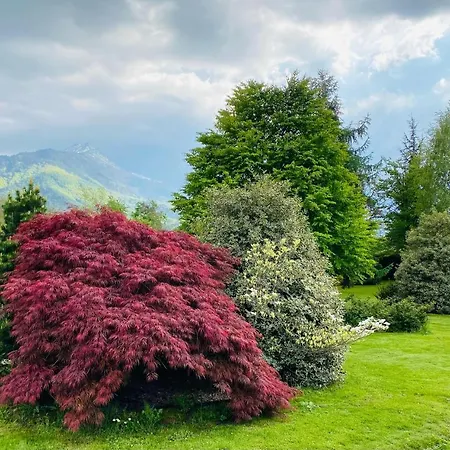 Apartment Giulia - Marguareis *