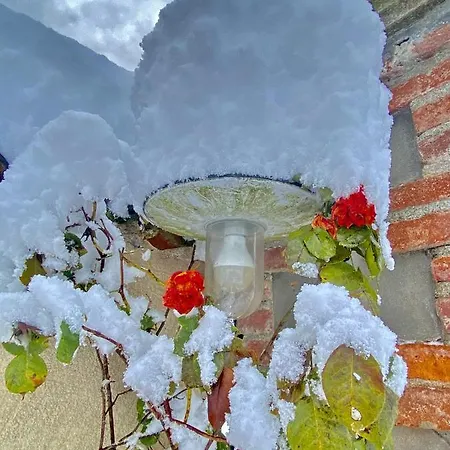 Giulia - Marguareis Apartment Peveragno