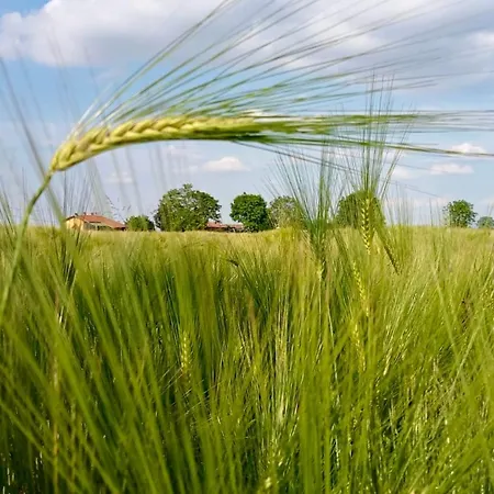 Appartamento Giulia - Marguareis