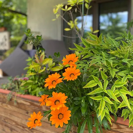 Giulia - Marguareis Apartment Peveragno