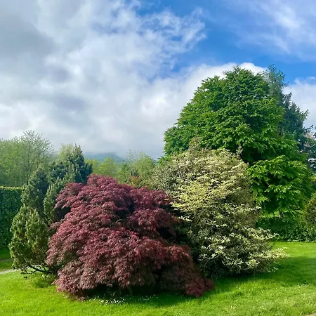 Giulia - Marguareis *