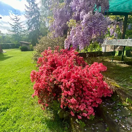 Giulia - Marguareis Apartman Peveragno