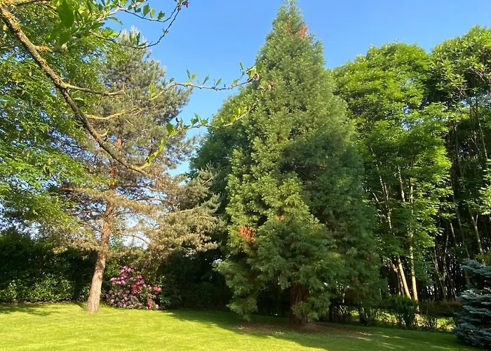 Giulia - Marguareis Διαμέρισμα Peveragno