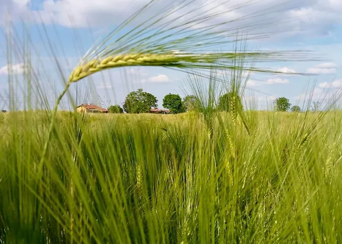 Apartamento Giulia - Marguareis