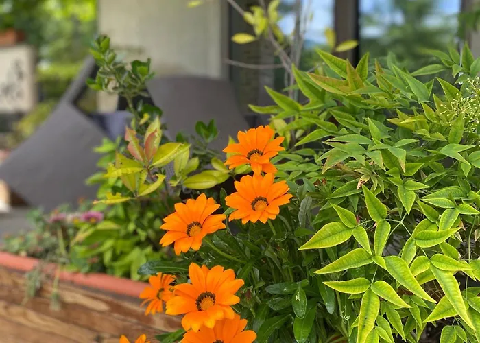 Giulia - Marguareis Apartamento Peveragno