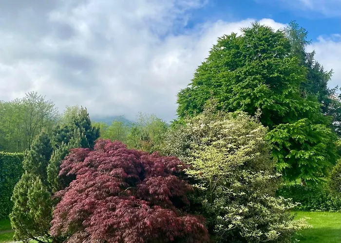 Giulia - Marguareis *