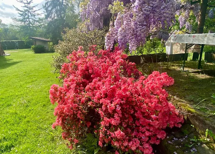 Giulia - Marguareis Διαμέρισμα Peveragno